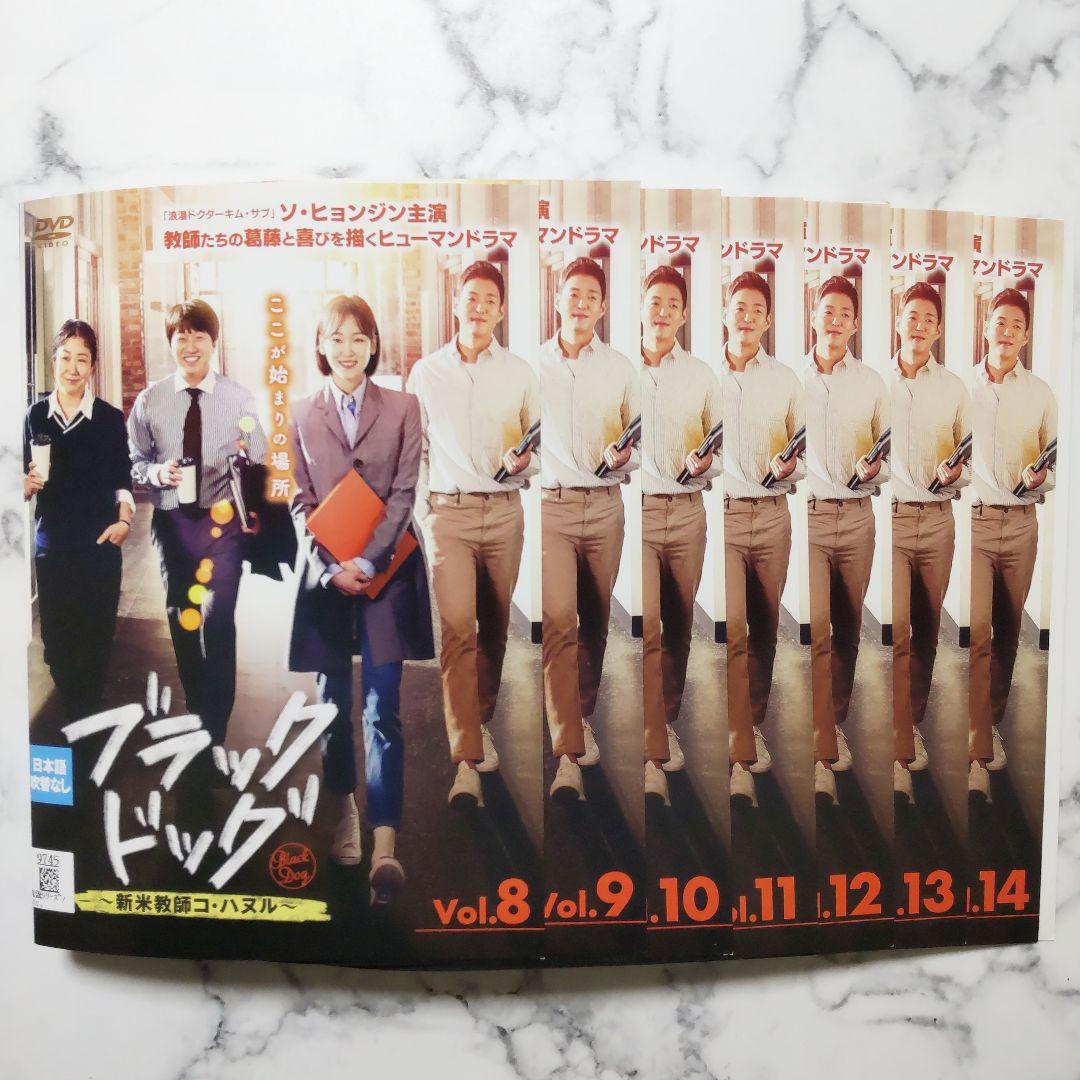 ソ・ヒョンジン『ブラックドッグ 新米教師コ・ハヌル』レンタル落ちDVD★全巻