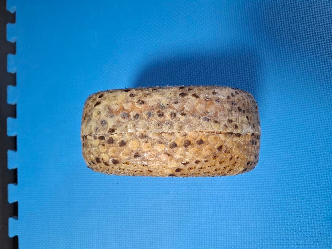 三線チーガ　本皮　強化張り