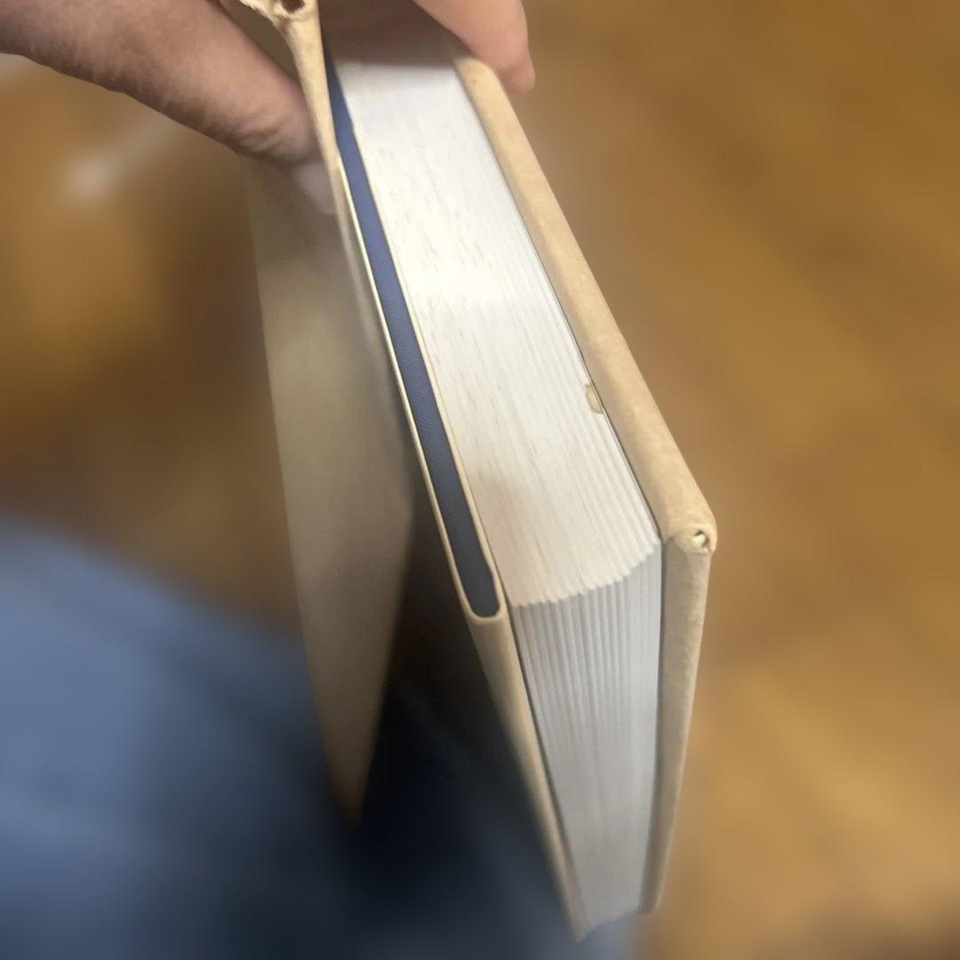 Wiener Werkstätte Design in Vienna洋書