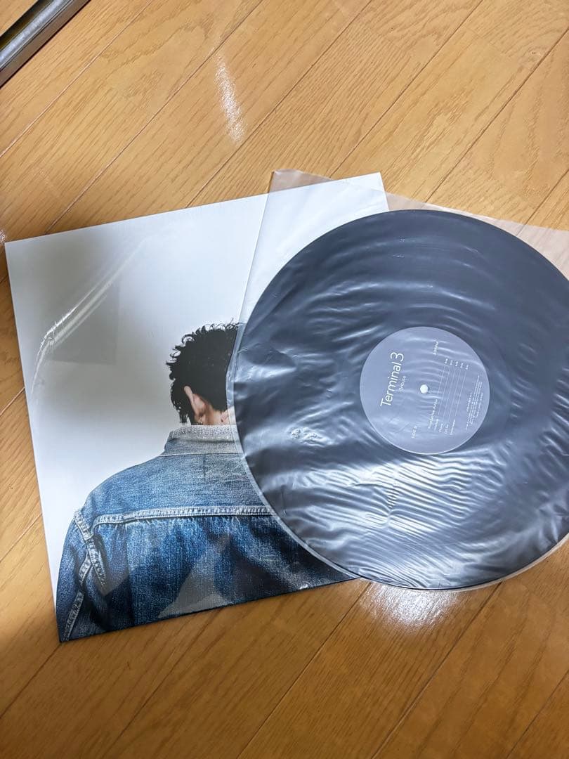 3House Terminal3 レコード　カラー