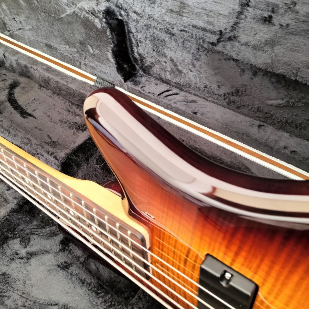 【最終価格】Spector 5弦ベース【美品レア】