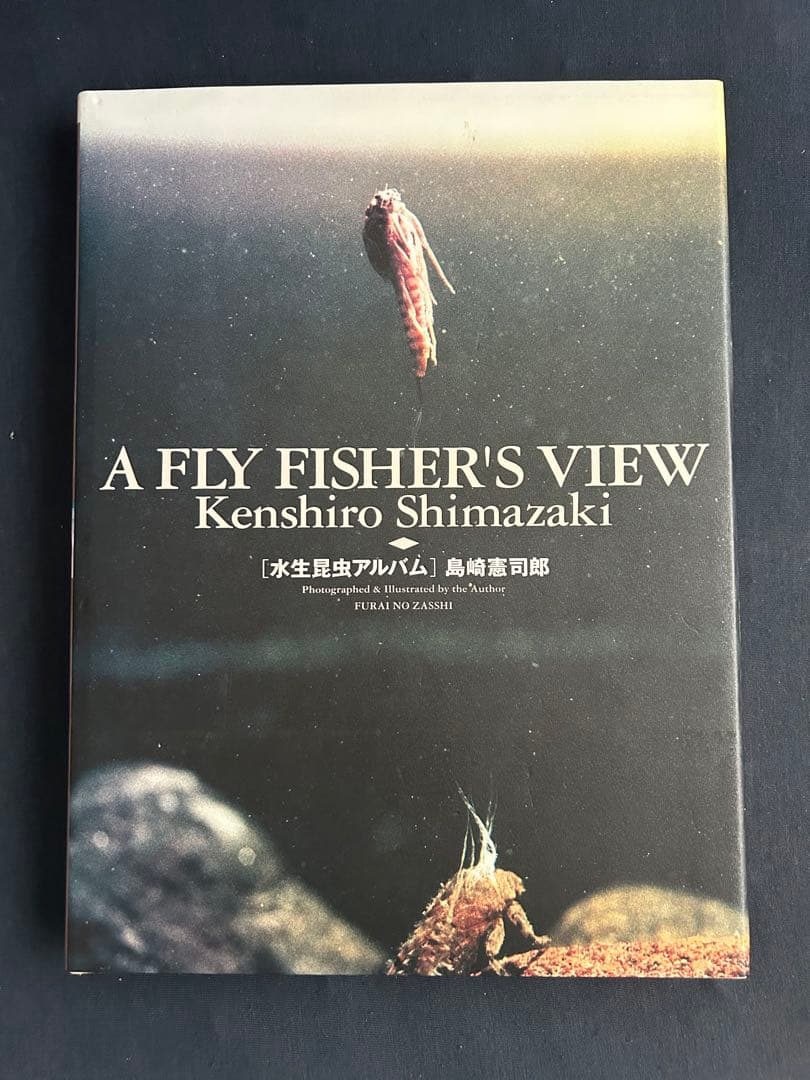 水生昆虫アルバム　島崎憲司郎