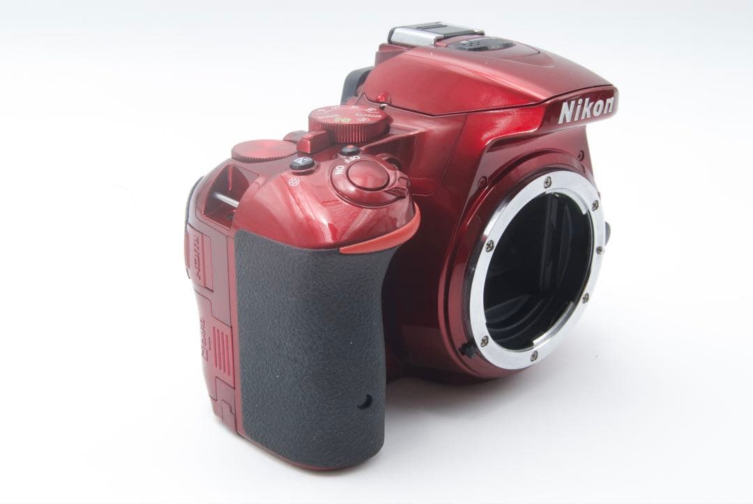 人気機種】Nikon D5500 希少カラー　レンズキットデジタル一眼レフ　美品