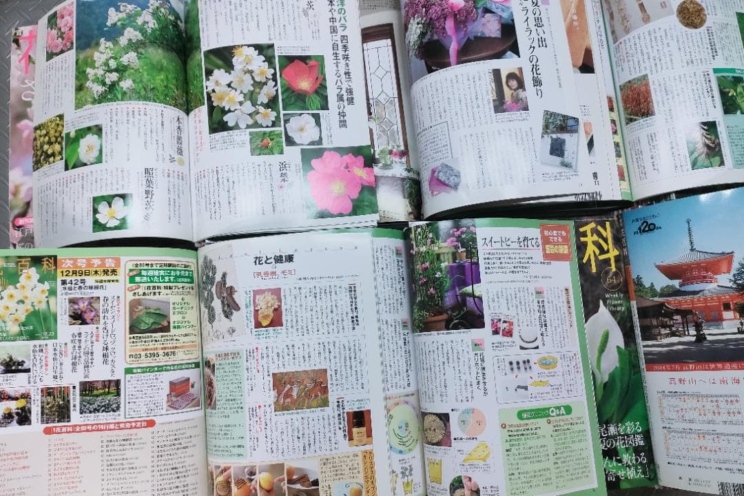 週刊花百科 全8巻80冊 講談社