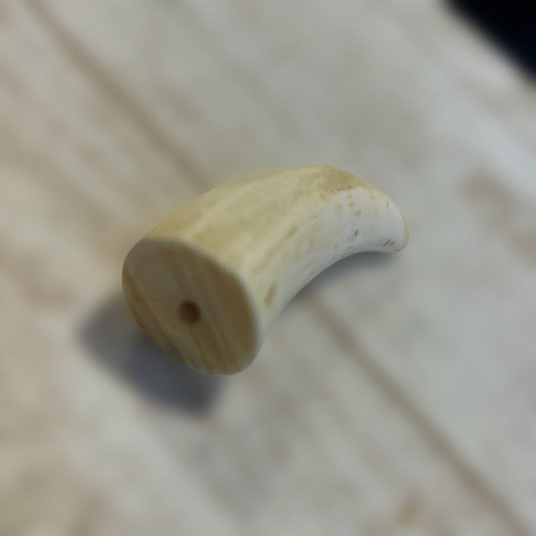 鯨歯 115.47g