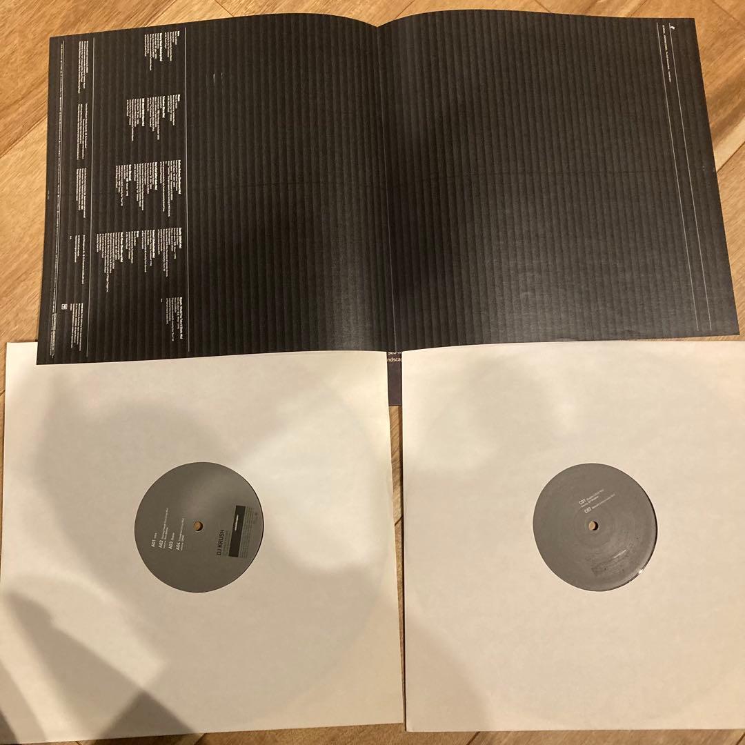 DJ KRUSH STEPPIN' STONES 2枚LPセット MC漢ほか