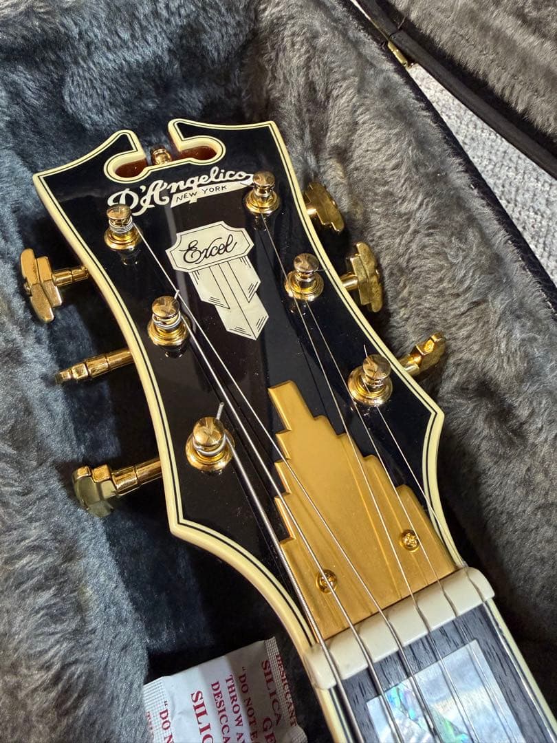【美品】D'Angelico Excel DC バリ虎