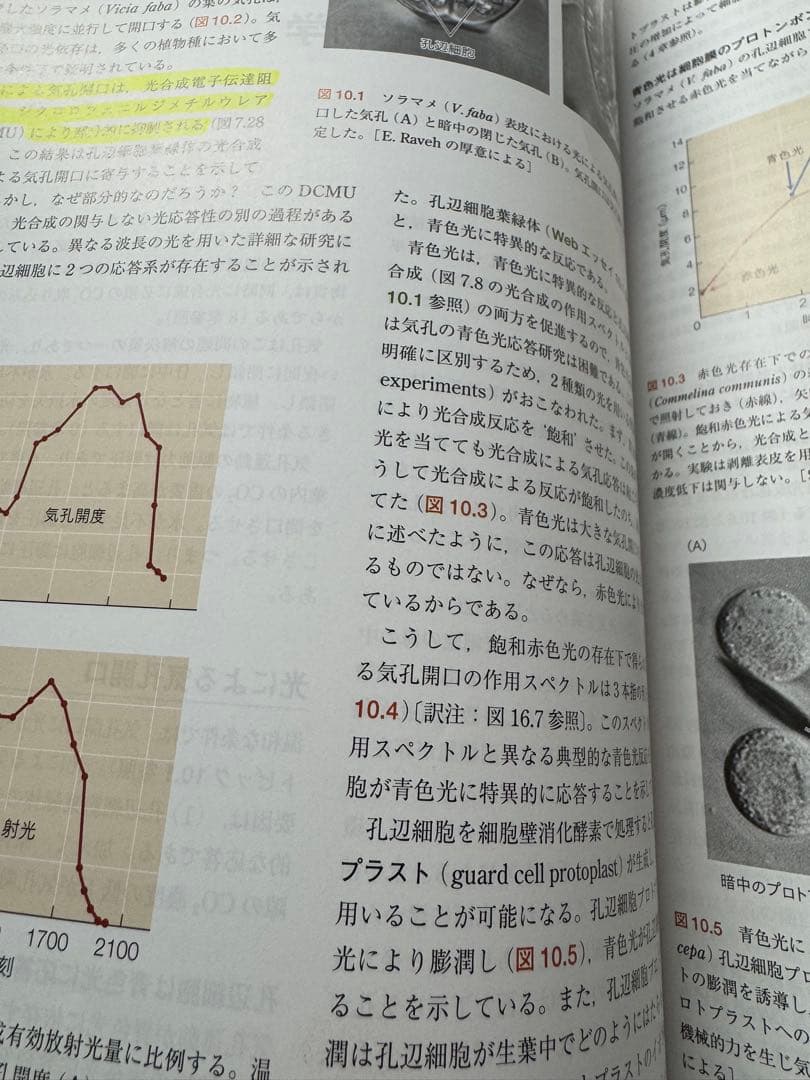 テイツ／ザイガー 植物生理学・発生学 原著第6版 テイツザイガー