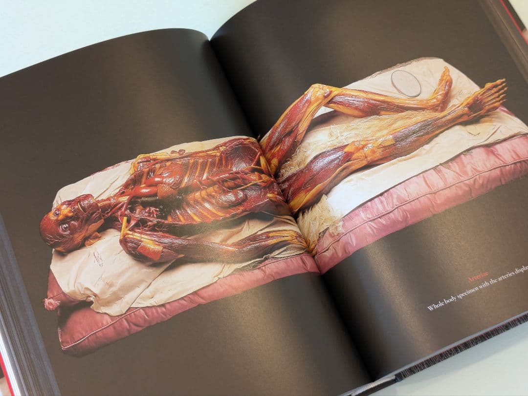 【新品】Anatomical Waxes / Taschen 解剖学 蝋人形