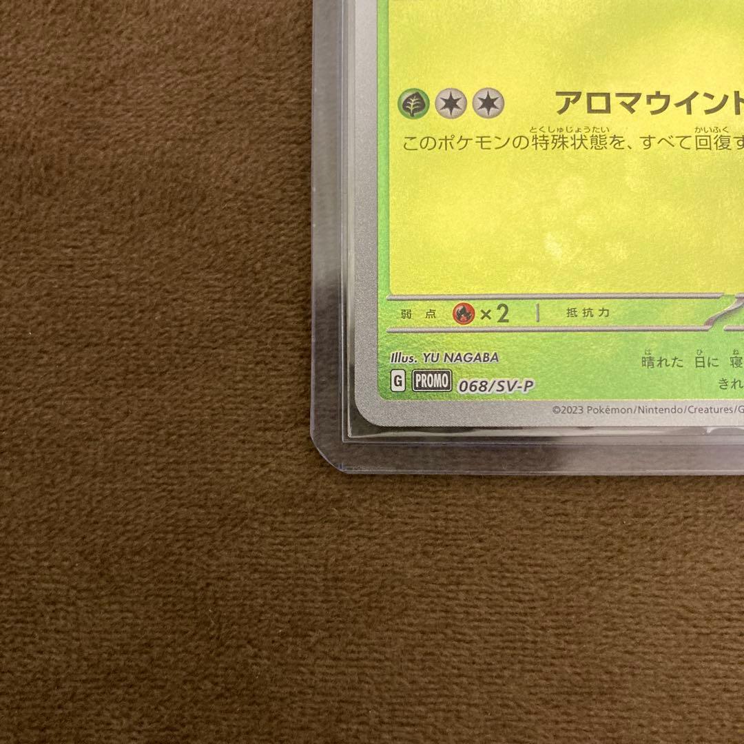 早い者勝ち!!!ポケモンカード 長場リーフィア プロモ