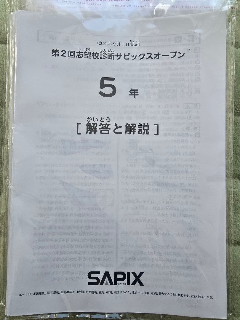 【成績データ付/全12回】SAPIX 5年生 組分け確認復習マンスリー