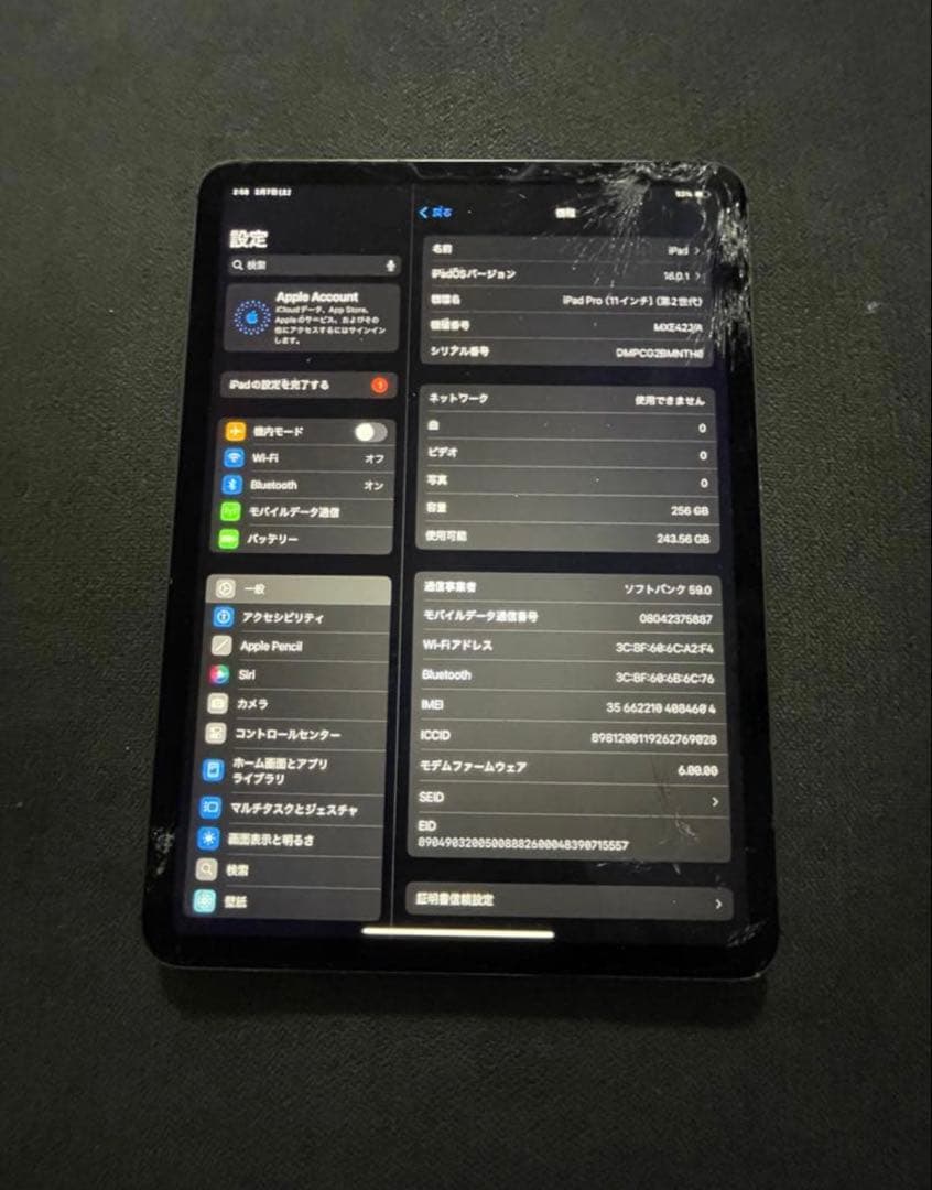 り*ご様 ipad pro 11 2世代　256GB セルラーモデル　完動品