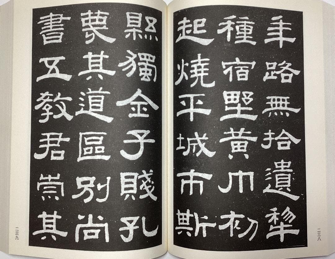 【法帖・拓本】漢碑大観 漢王朝の碑文集