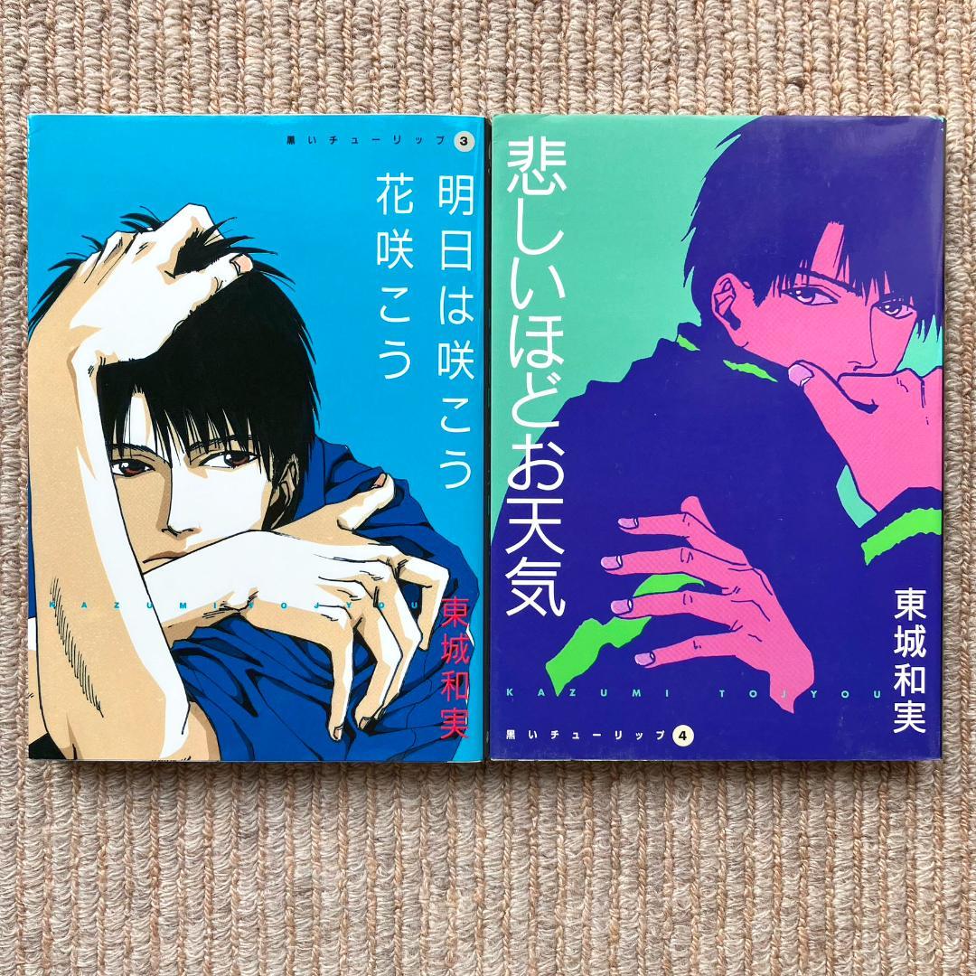 【全巻】 黒いチューリップ　全6巻セット　東城和実