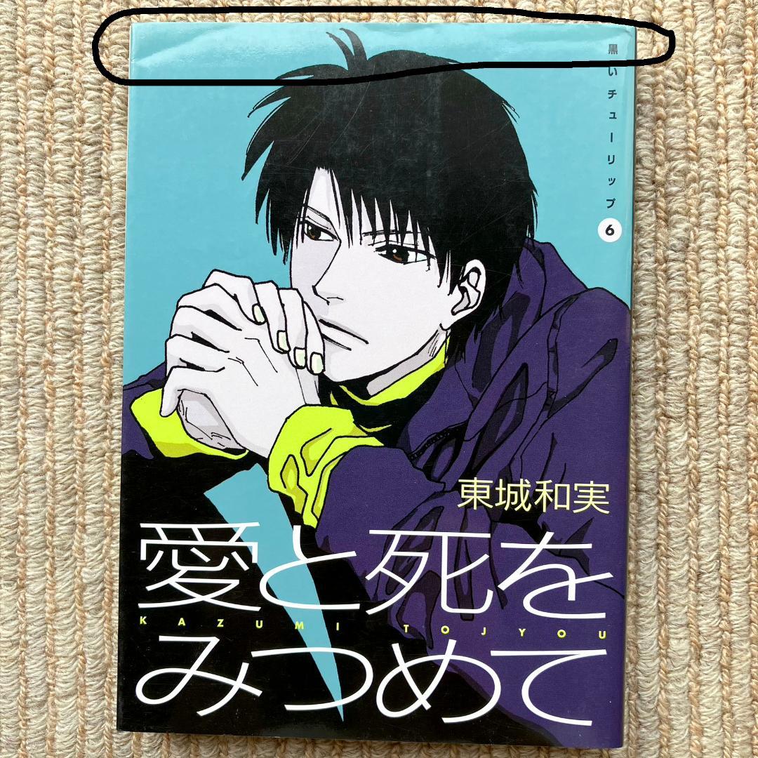【全巻】 黒いチューリップ　全6巻セット　東城和実