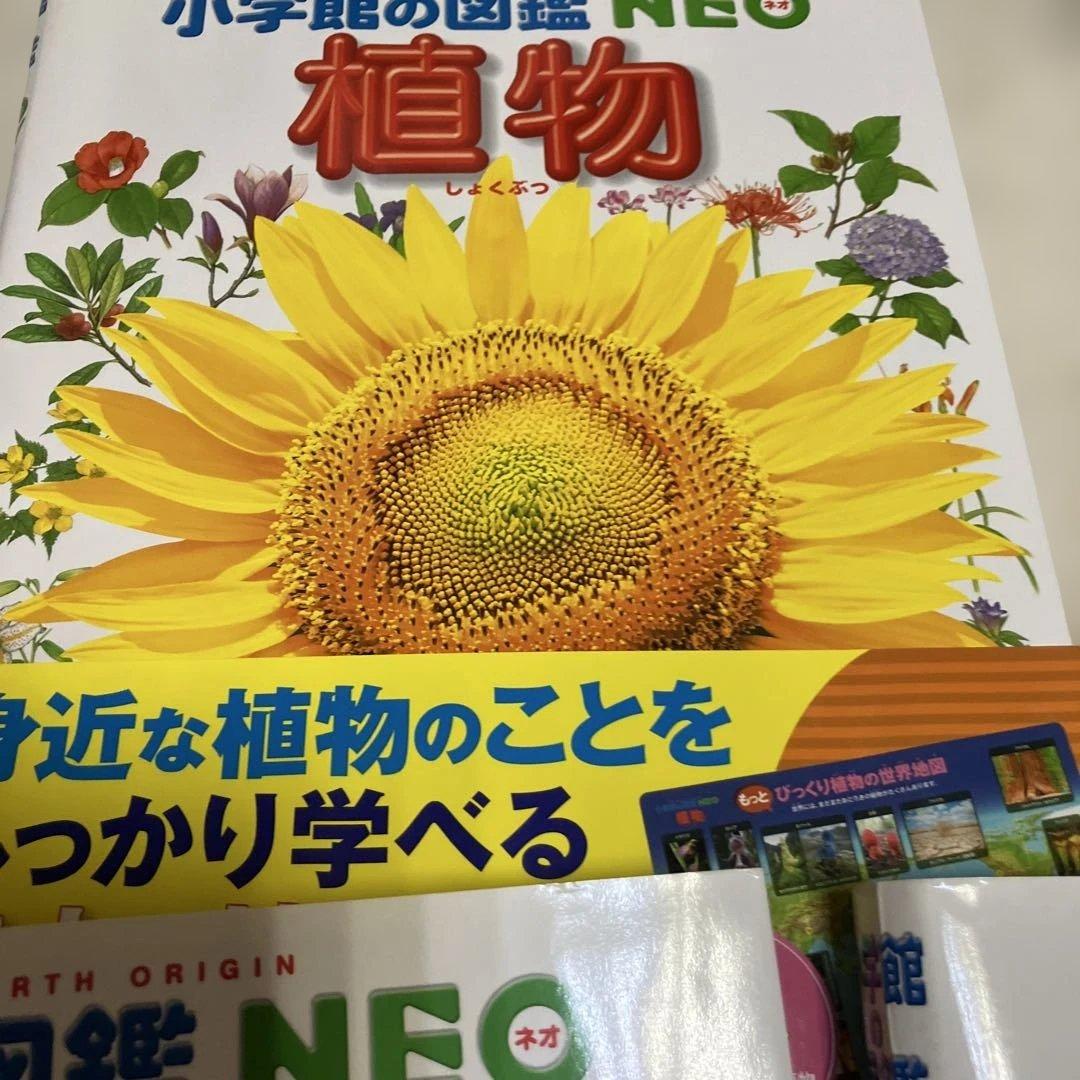 小学校の図鑑 NEO 新版 DVD付き 5冊セット