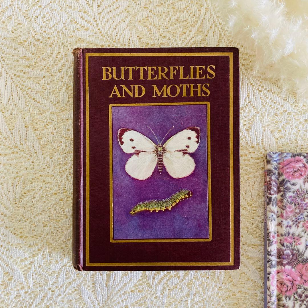 洋書　古書　イギリスの蝶と蛾の図鑑　優雅なカラー図版と趣のある美しい装丁♡