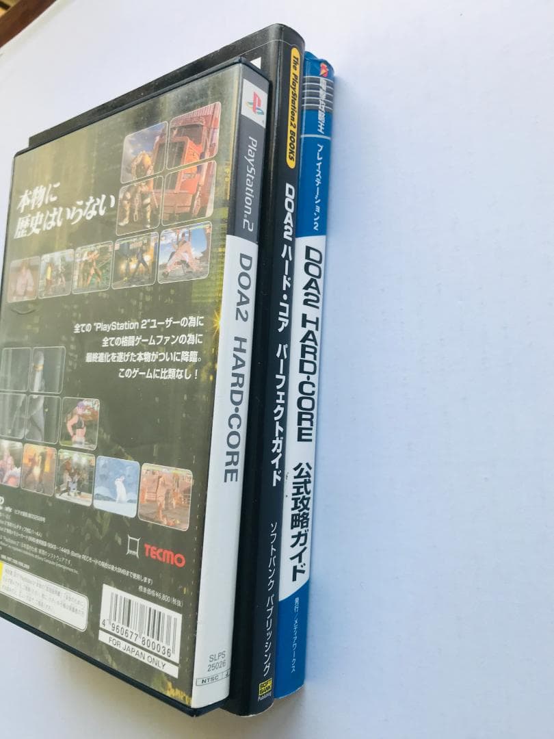 Dead or Alive 2 DOA2 Hard Core 公式攻略ガイド