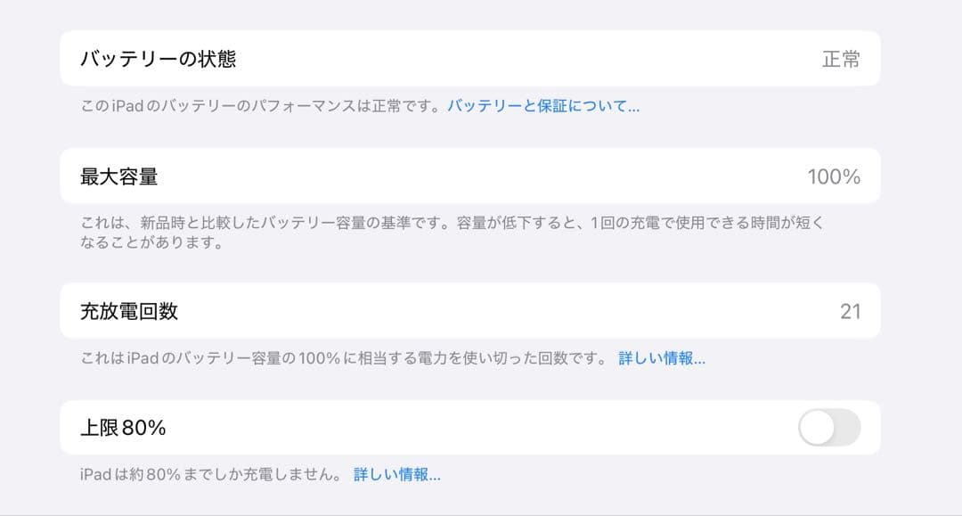 バッテリー100% M4 iPad Pro 11インチ256GBアップルケアー