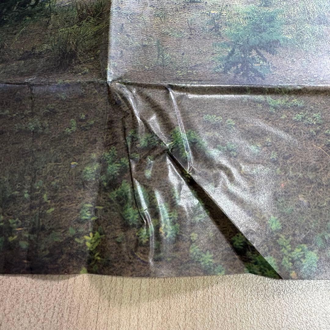 「螺旋海岸 notebook」 志賀理江子