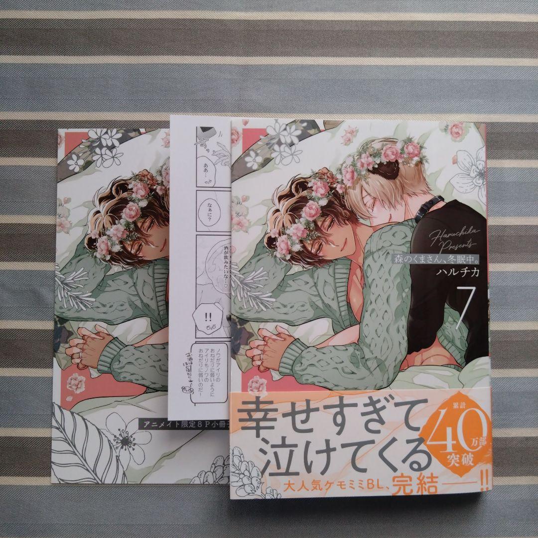 BL 森のくまさん、冬眠中。 ハルチカ 7冊セット