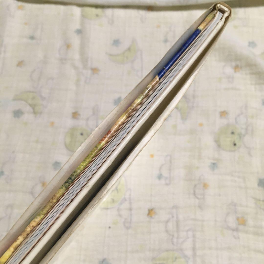 のりものにいっぱいのったんだよ