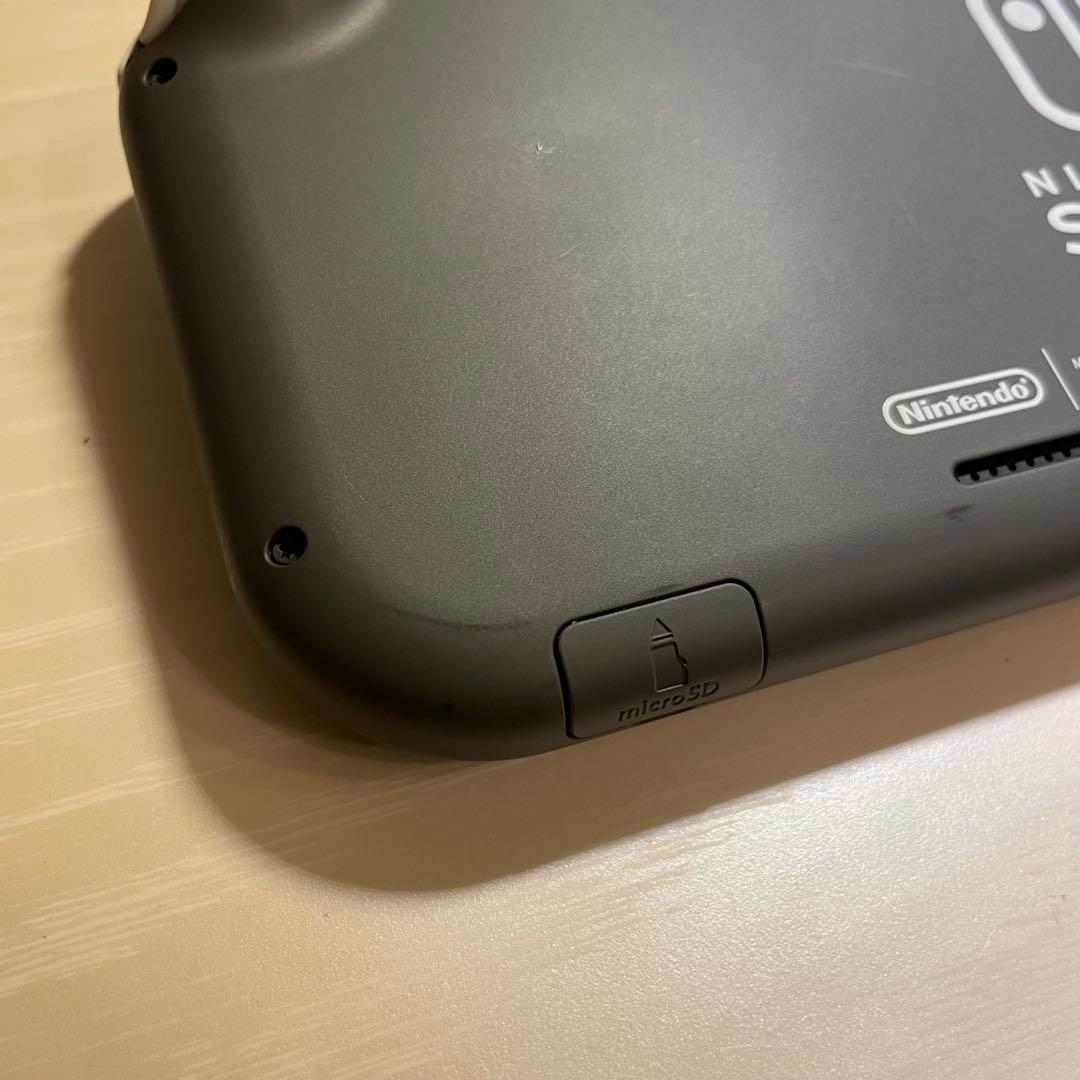 Nintendo Switch Lite 本体、充電器、ケースセット