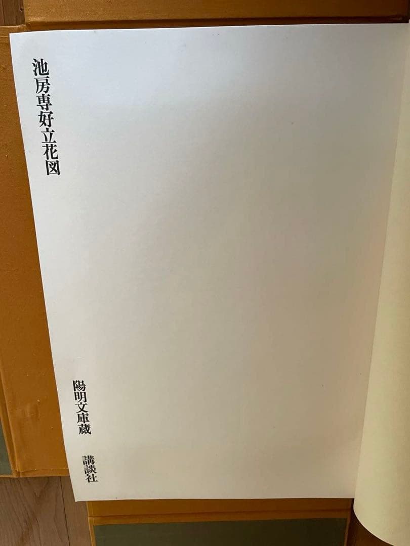 池房専好　立花　陽明文庫蔵　講談社