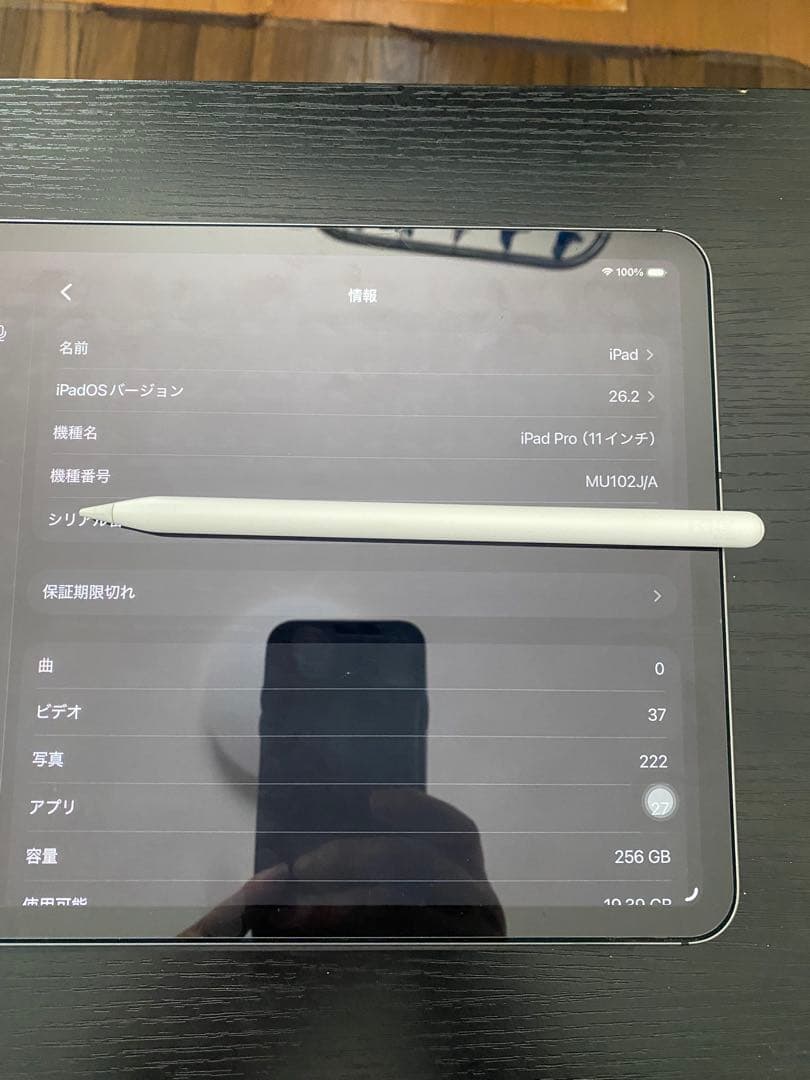 iPad Pro (11インチ) スペースグレー 256GB