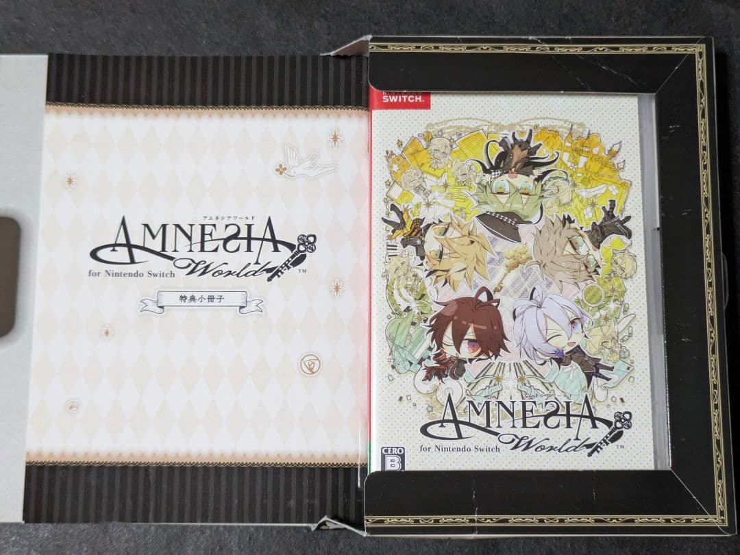 AMNESIA World Switch 限定版 訳あり
