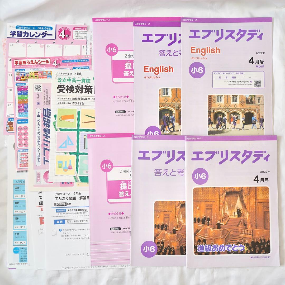 Z会 エブリスタディ 小6 5教科通年 ハイレベル版 書き込みなし 付属品完備