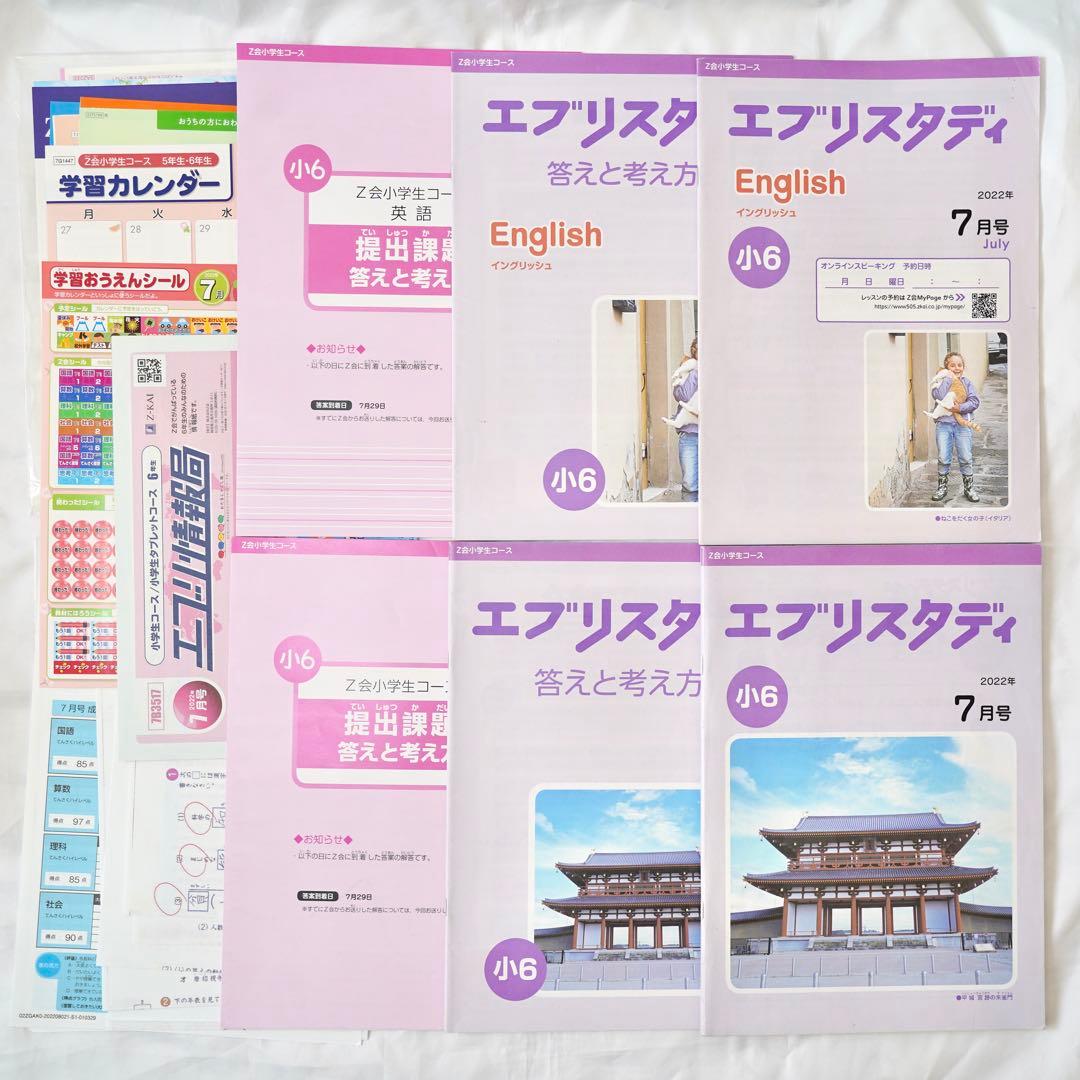 Z会 エブリスタディ 小6 5教科通年 ハイレベル版 書き込みなし 付属品完備