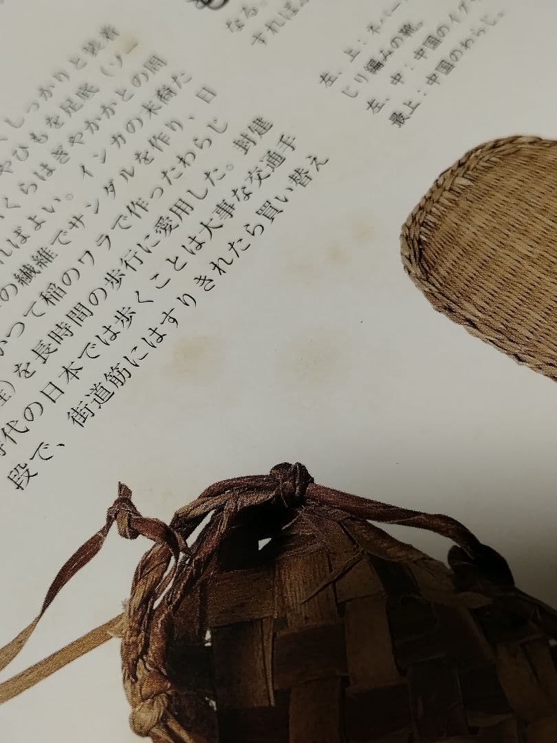 【外函付き】世界のかご文化図鑑 自然を編む民族の知恵と技術