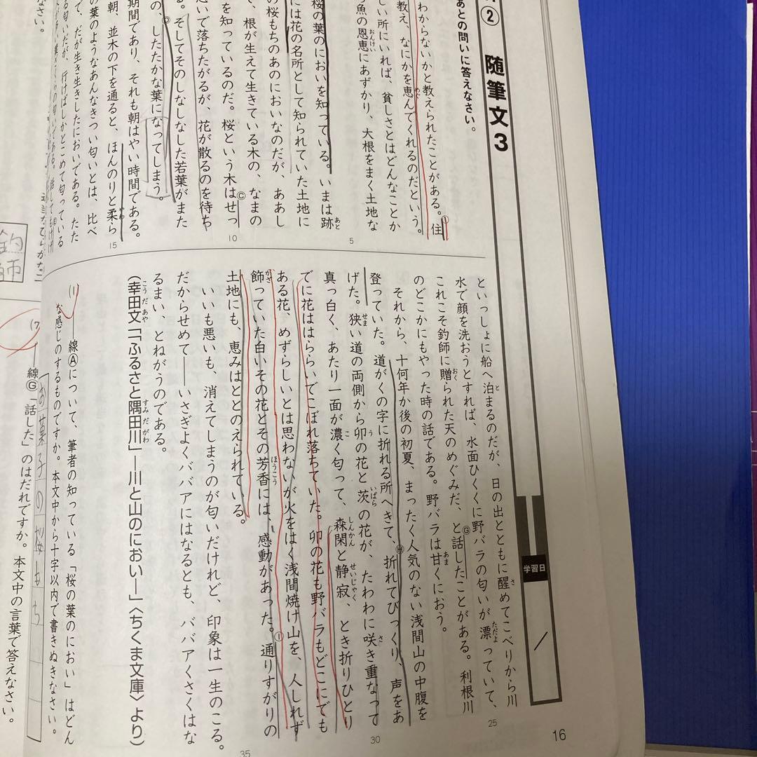【都立中受験】ena エナ 小5 テキスト 1年分セット(17冊)