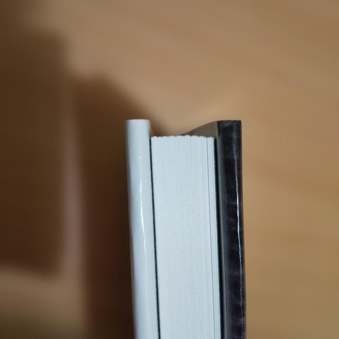 洋書 The Nature of Photographs Stephen Shore