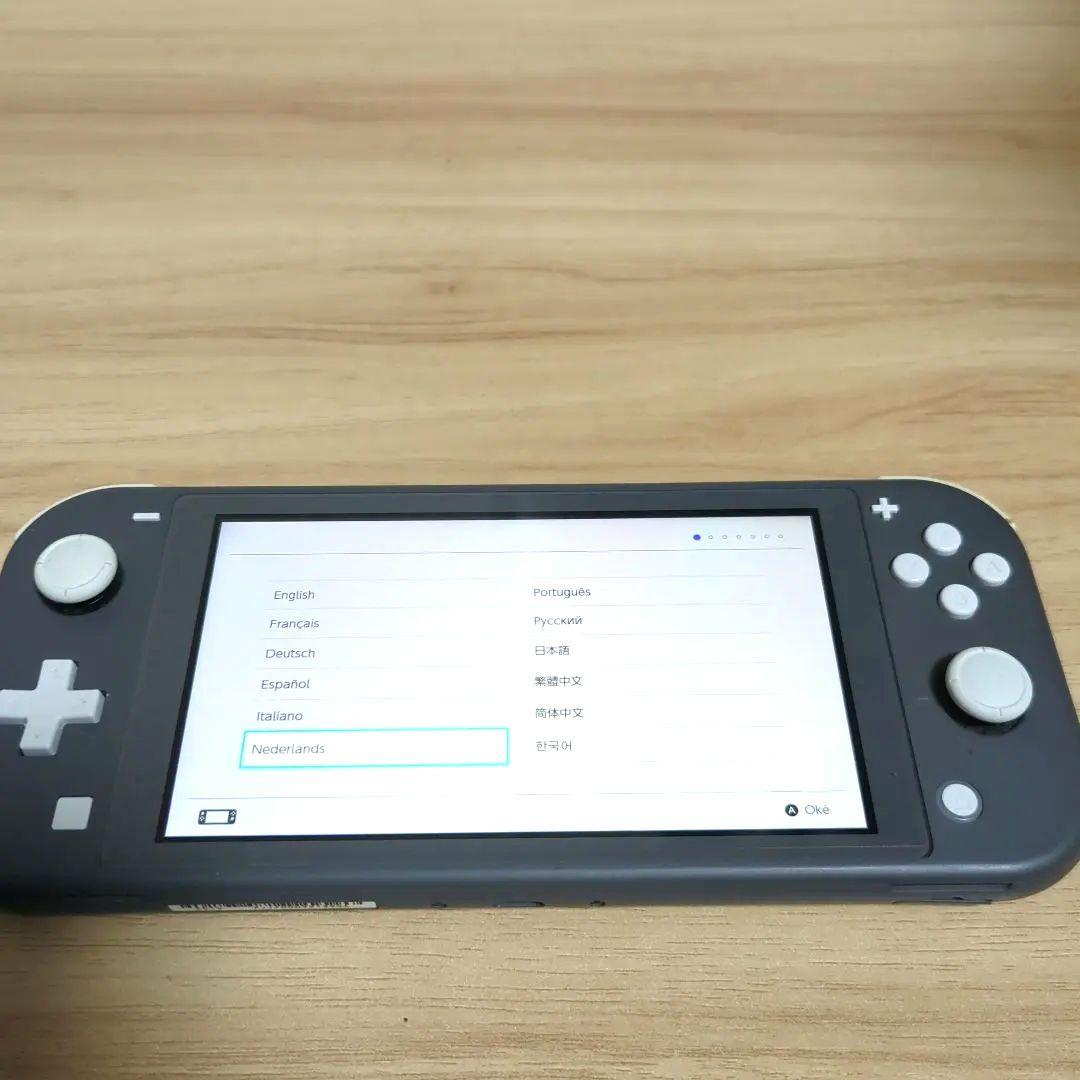 SwitchLITEグレー