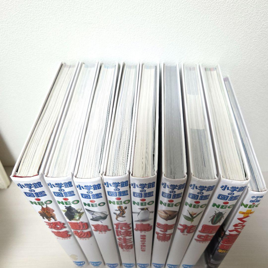 小学館の図鑑NEO ９冊セット