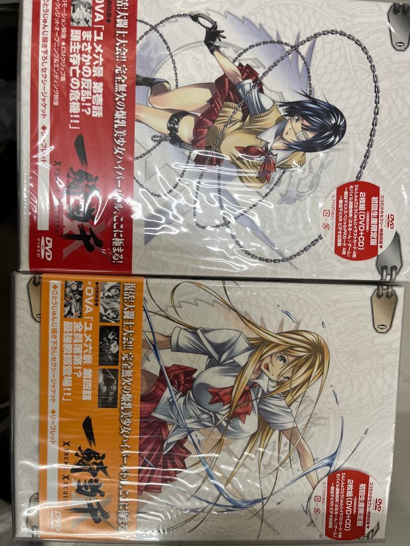 一騎当千 Great Guardians XTREME XECUTOR DVD