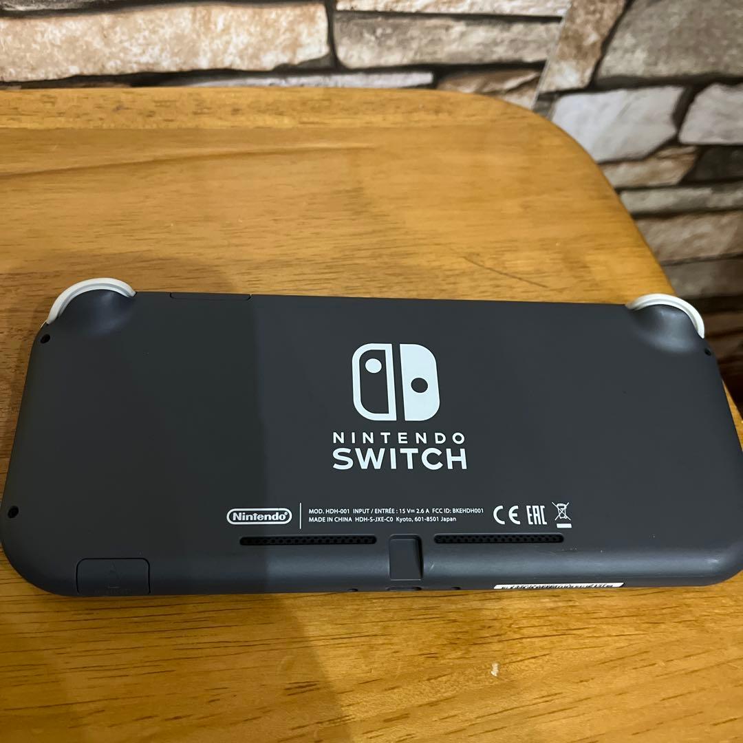 動作OK】Switch Liteグレー＆スーパーマリオブラザーズワンダー セット