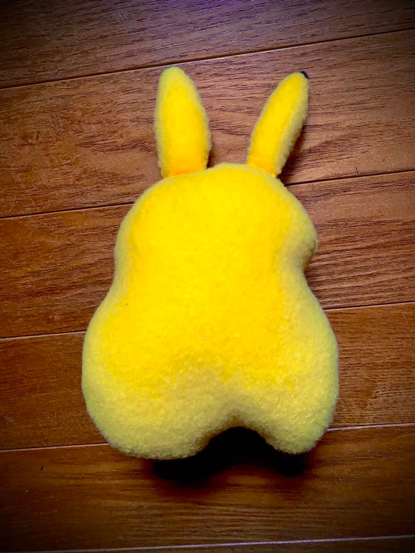 長谷川有里　ぬいぐるみ　ポケモン　ピカチュウ　Yuri Hasegawa