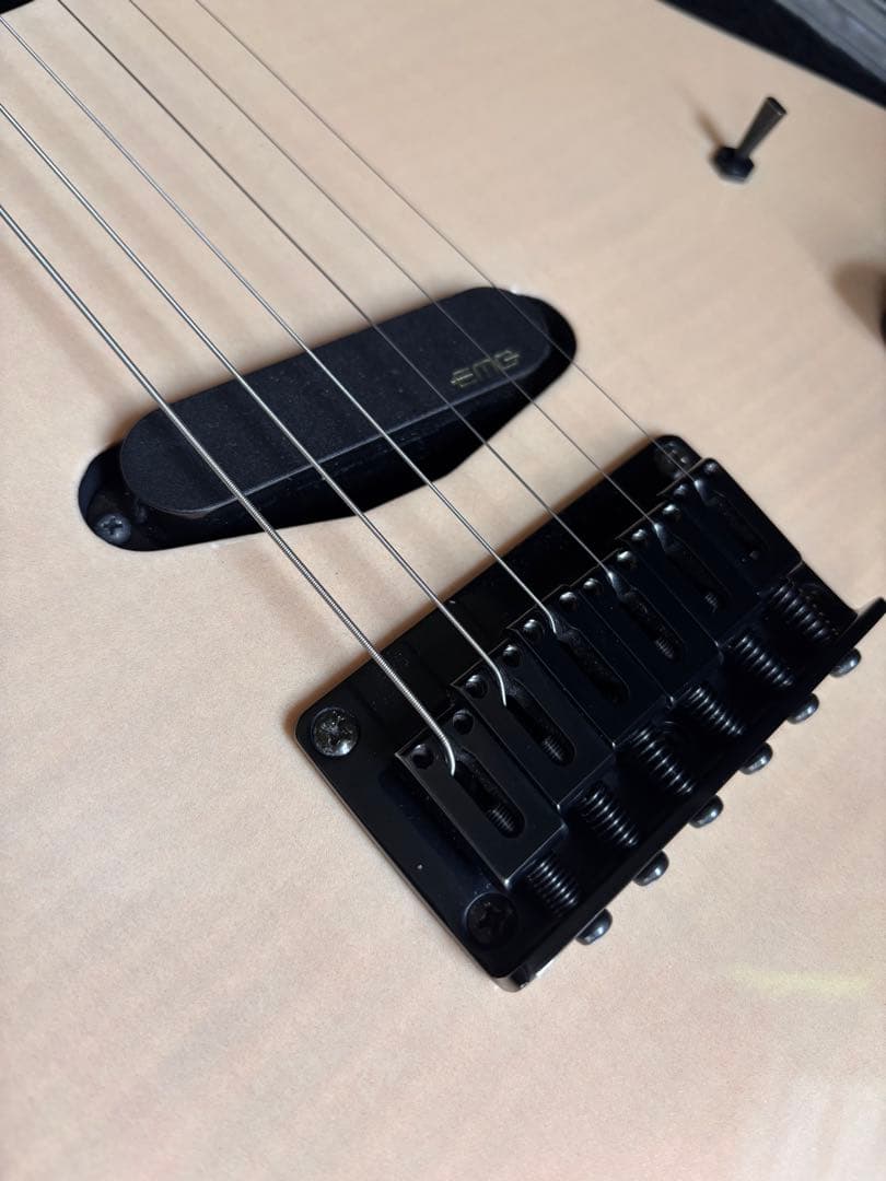 激レア品！FERNANDES TEJ Custom イベント出展品