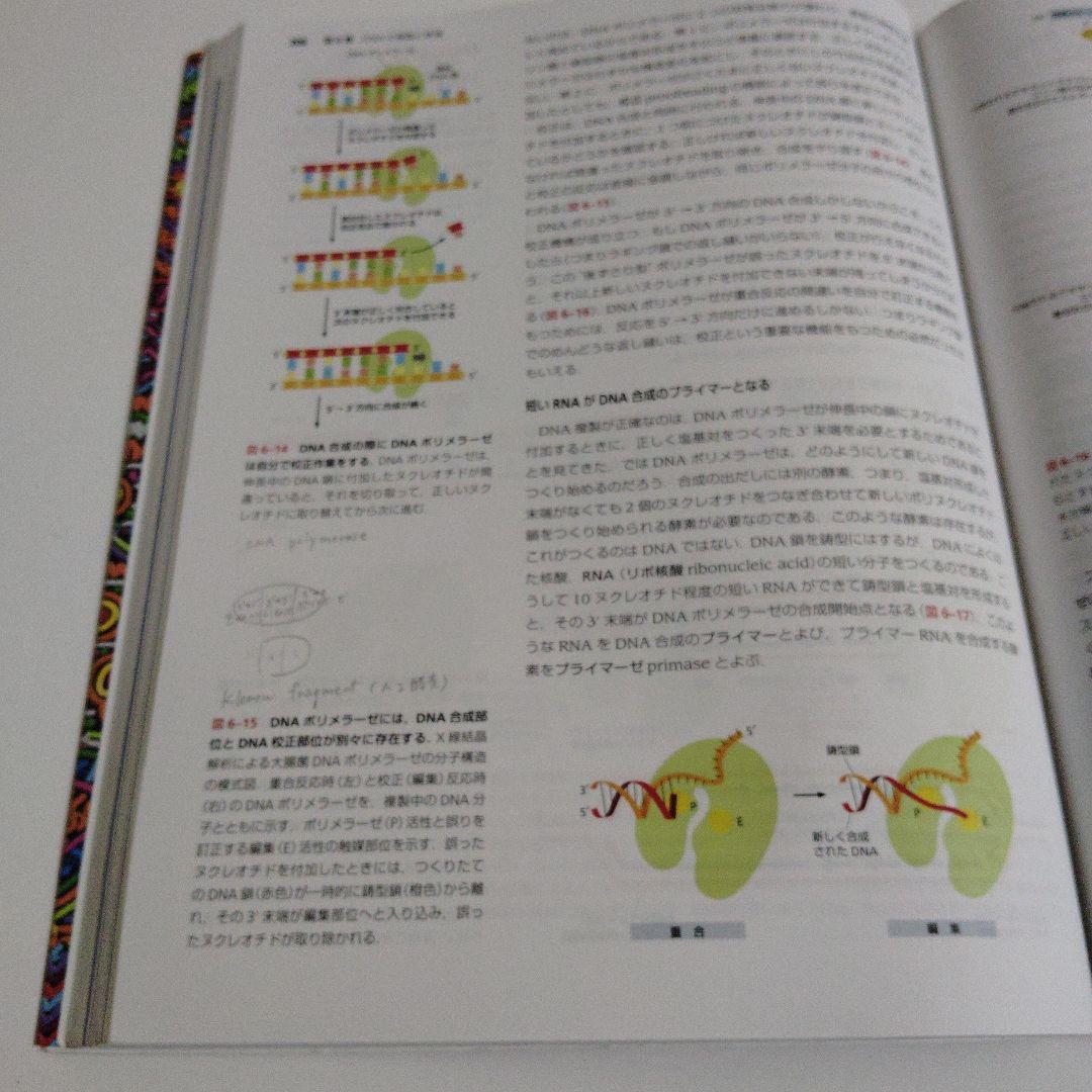 Essential細胞生物学 原書第5版 南江堂 cell biology