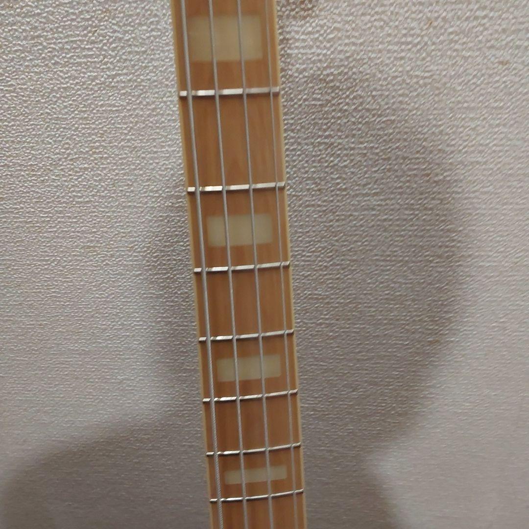 Fujigen FGN NJB100MBAH SBB (セミハードケース付き)