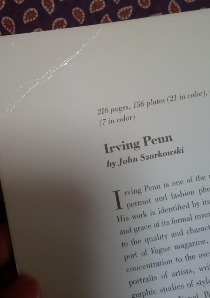アーヴィング・ペン洋書写真集レアIrving Penn1984回顧展カタログ図録