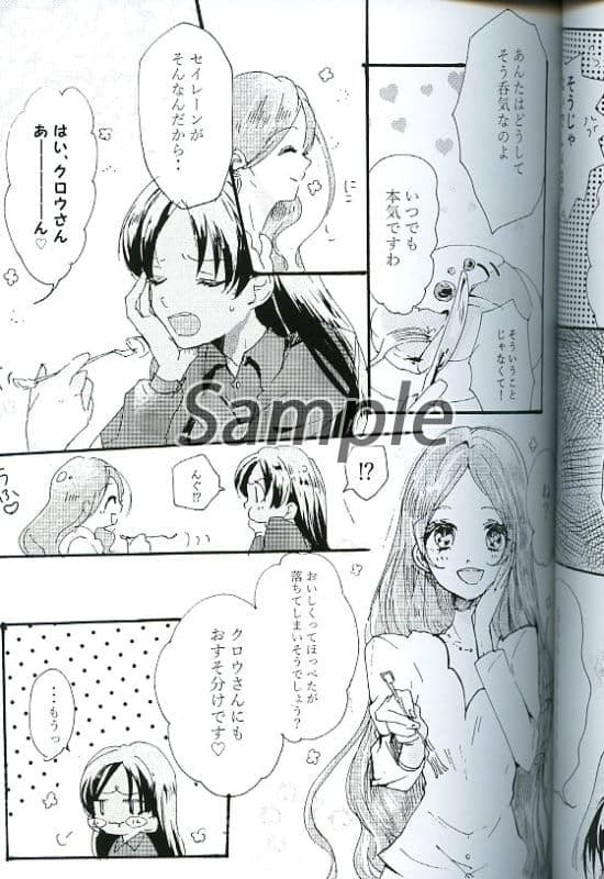 ★９２★【レア　シリーズ２冊セット】　セーラームーン　同人誌　星野光×月野うさぎ