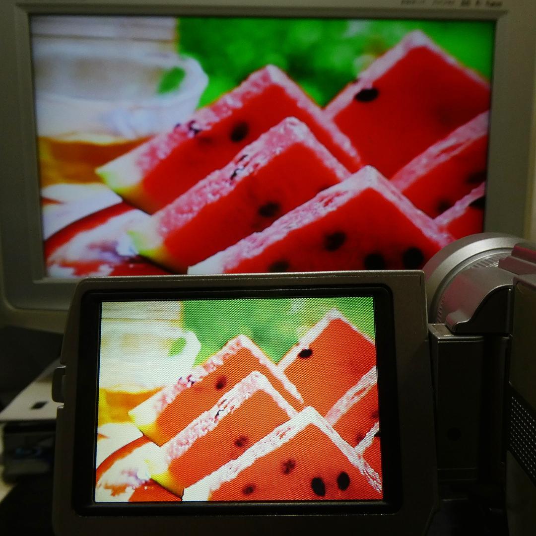 美品・動作品ソニー DCR-TRV20 MiniDV ビデオカメラ DVD化に