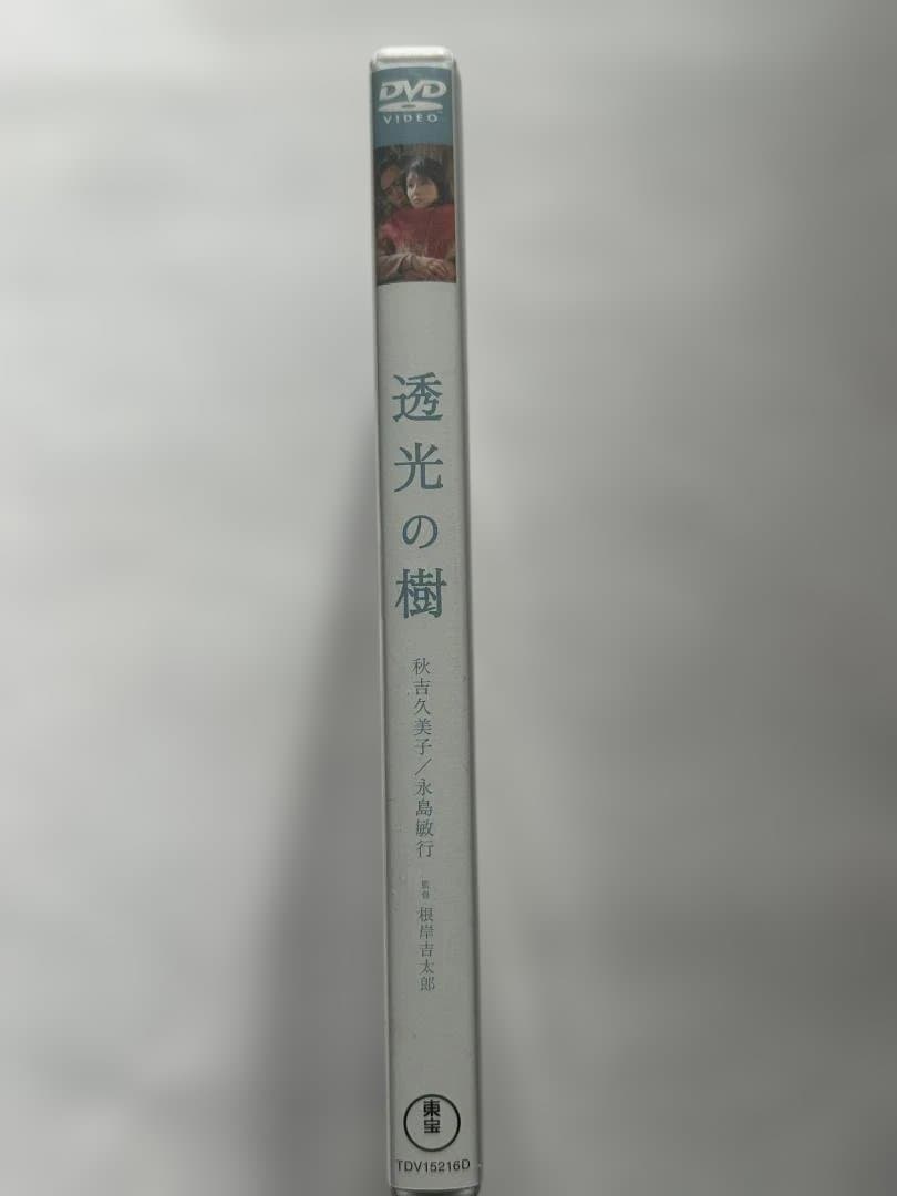 【美品】透光の樹 DVD