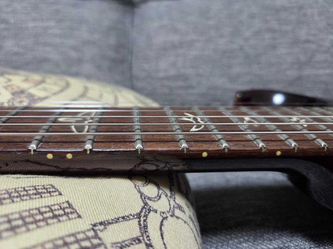 H*M様 PRS Custom 24 10top