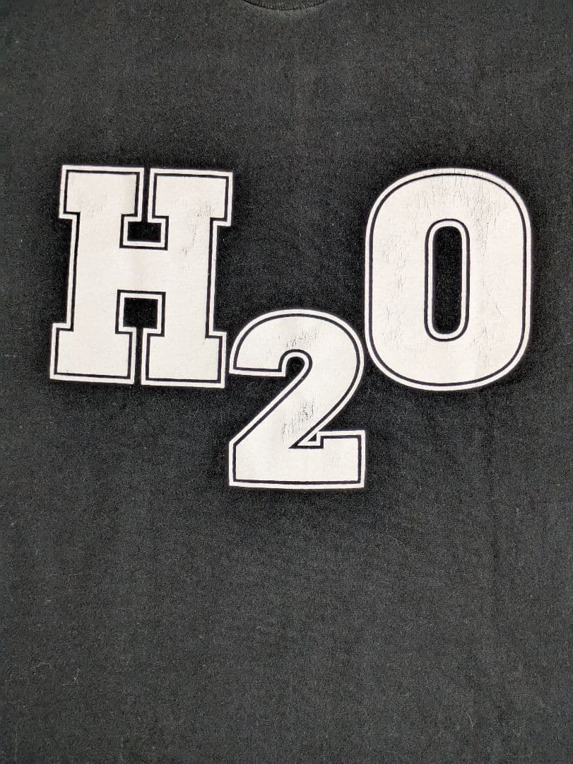 「H2O NYHC Tシャツ」MADBALL 25 TA LIFE ヴィンテージ
