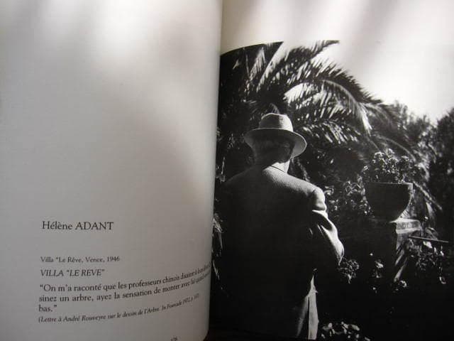 アート・デザイン・音楽 MATISSE PHOTOGRAPHIES / Henri Matisse